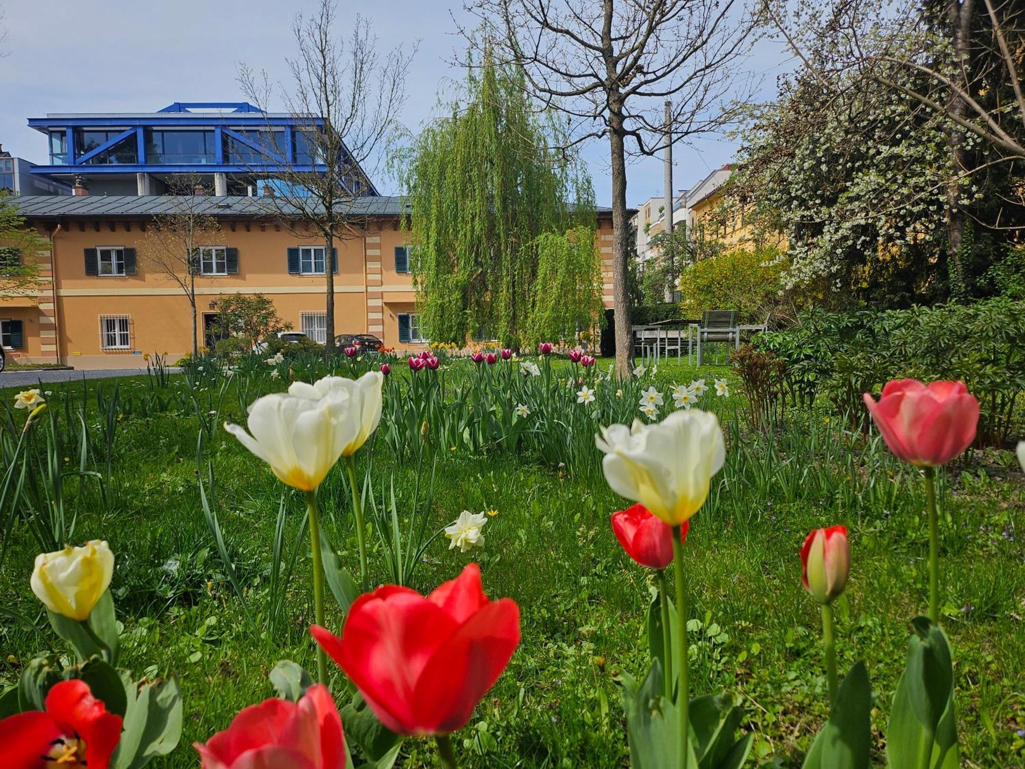Yellow Flat By Grazrentals With Best Location & Free Parking Екстер'єр фото